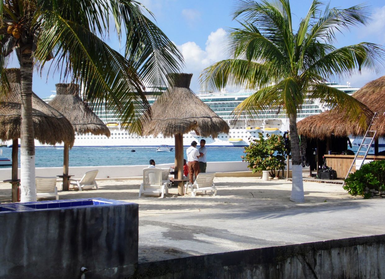 Cruise Ship View from a sunny beach Palm trees and straw umbrellas near a cruise ship docked at a tropical beach.