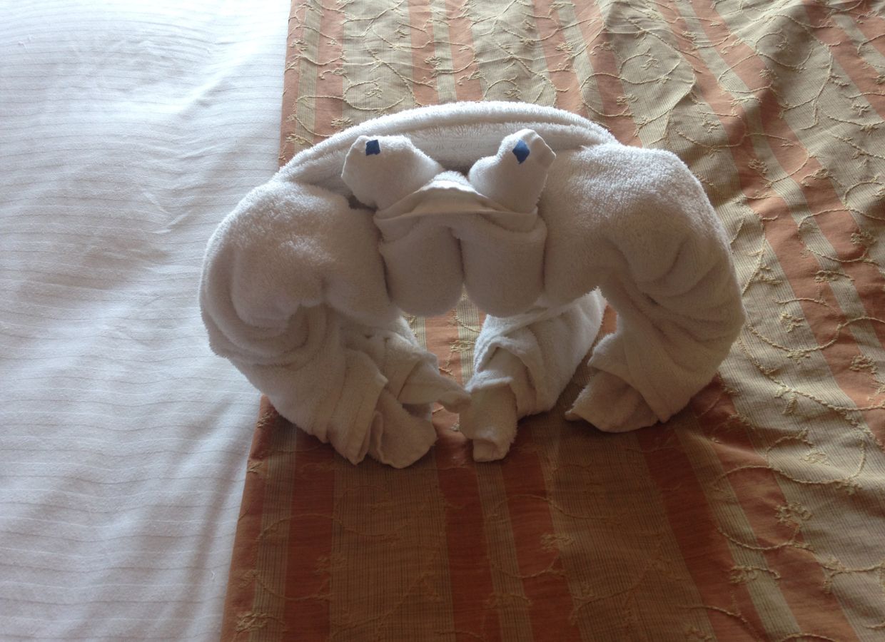 Fun Cruise Towel Art in Cabin Towel animal shaped like a crab on a cruise ship cabin bed.